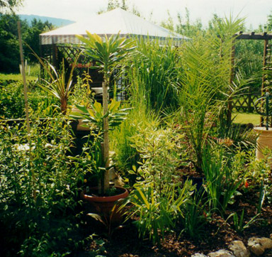 Blick von der Gartenmitte auf die Pergola